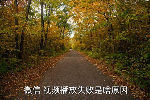 dj微信惹得禍視頻,微信文件若無法播放可關閉我...